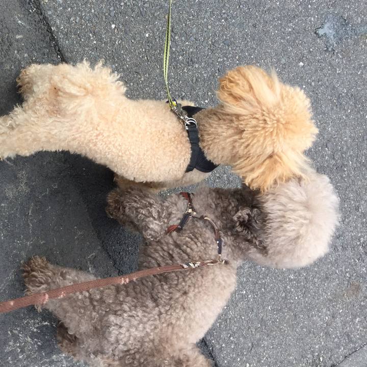 13b11e04 c655 4e70 bfd8 1a0782a3c31d