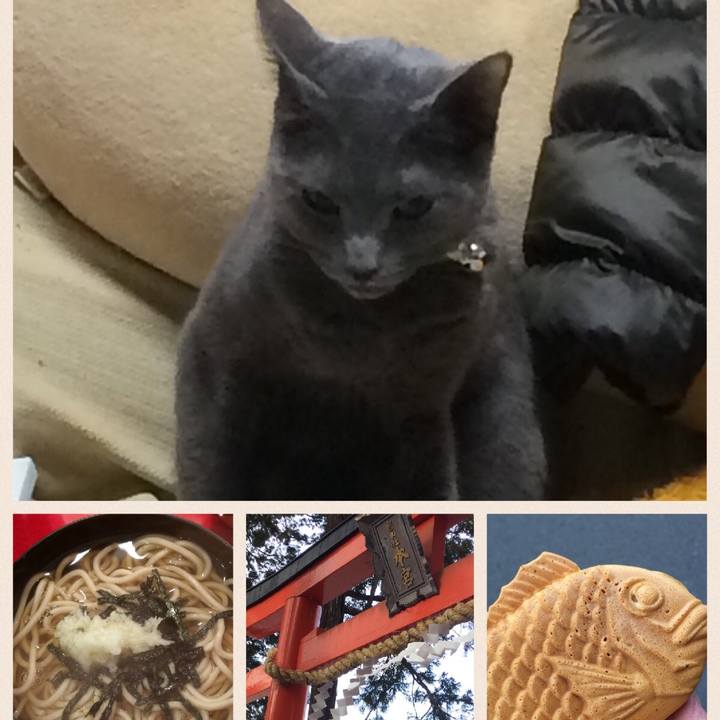 13b19225 9c1e 485e b080 16361931551a