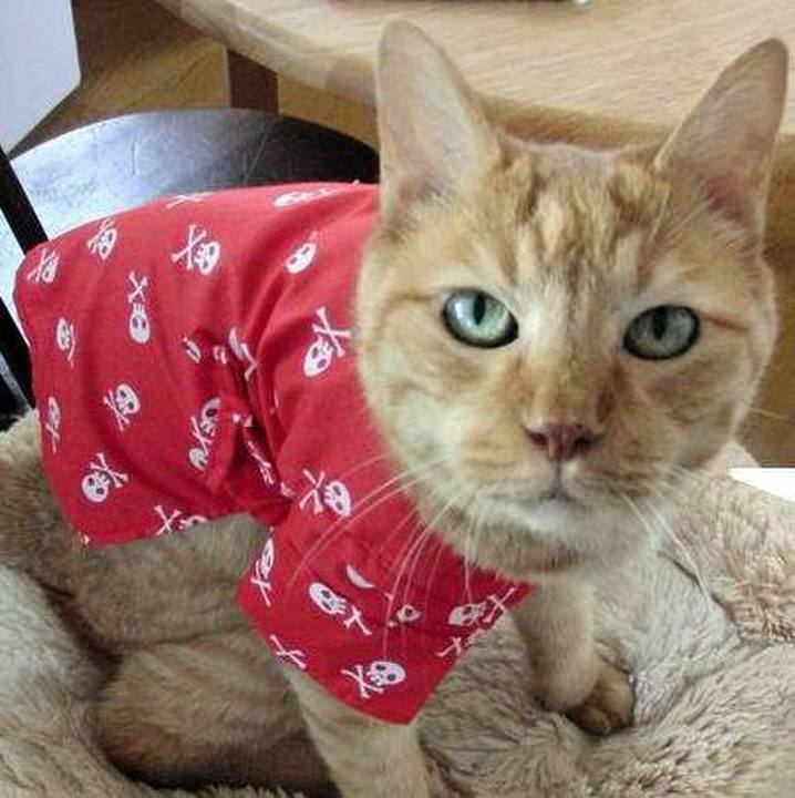 13b19412 3d68 45b1 b8a0 52731c36234a