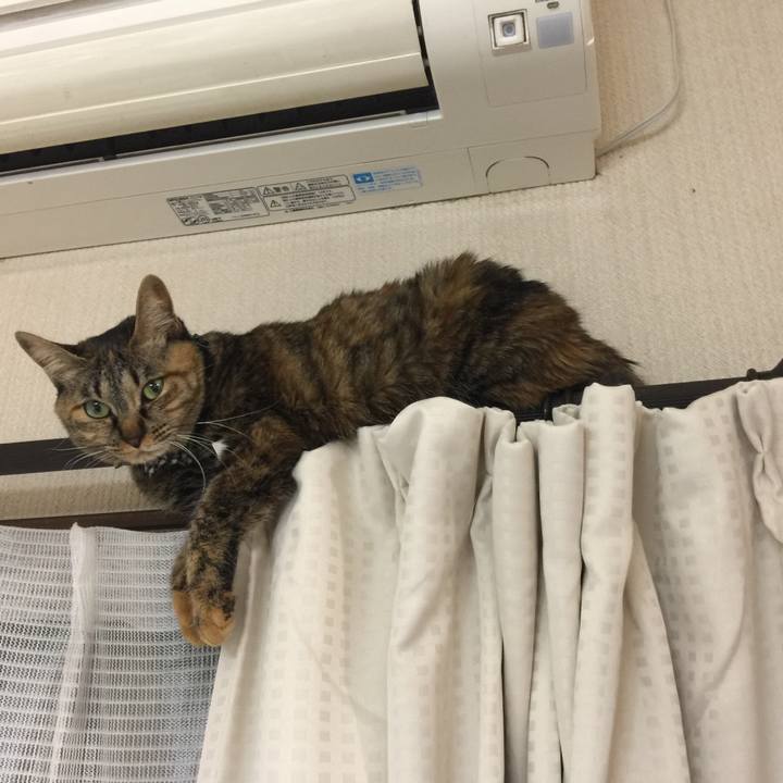 13b2077d 458d 4bdd b5a6 67bf8402692c