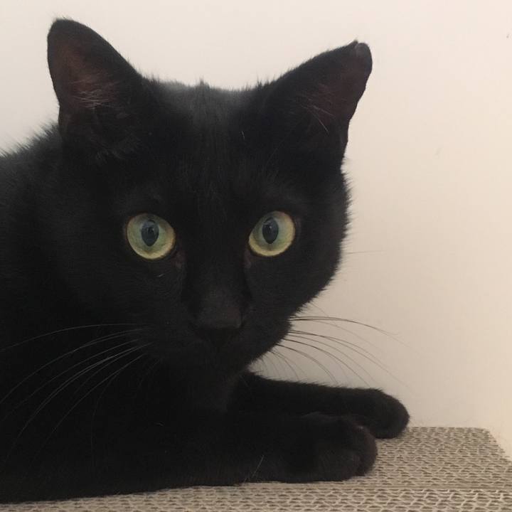 13b25414 76ca 4262 91ec bb7215787bb8