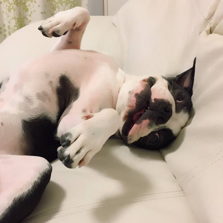 13b262c3 a7cc 44ef 8e68 4da5a29532a6