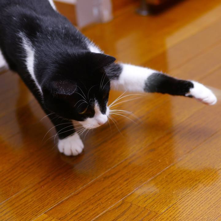 13b2c05d d317 40fe 81d0 70ec098f1bb1