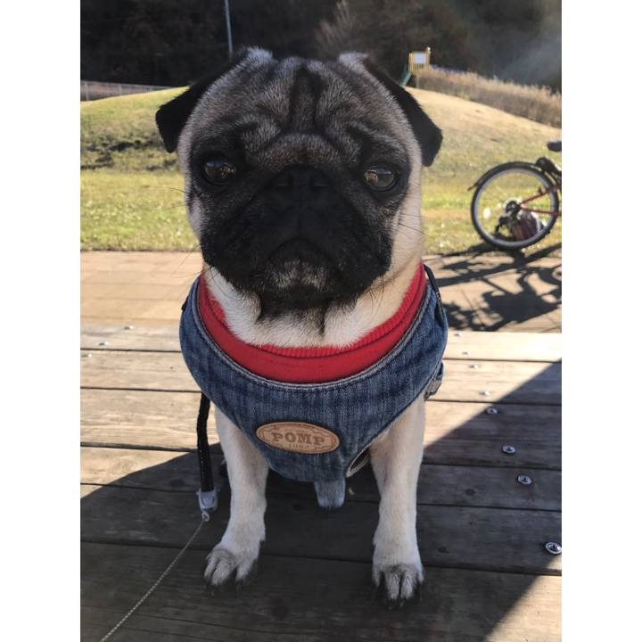 13b2de1f 6033 4f25 b25c 26f129d2db21