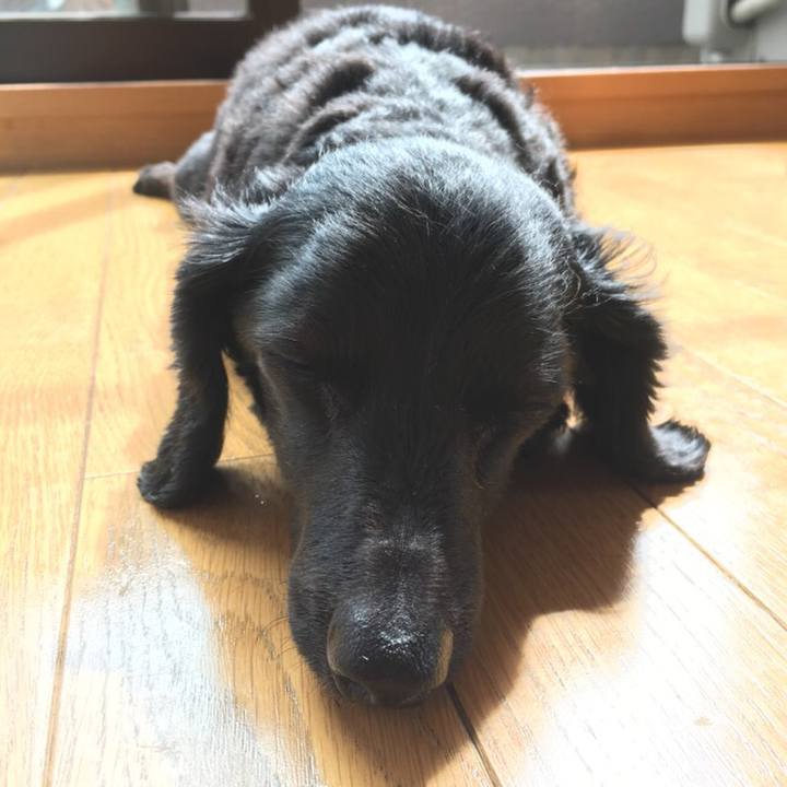 13b3e2f2 d8ad 4196 8ae8 7b92a4221993