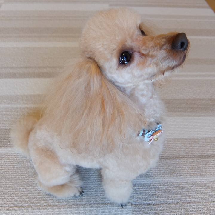 13b3fd47 341d 41c4 a529 8d5f0b54383d