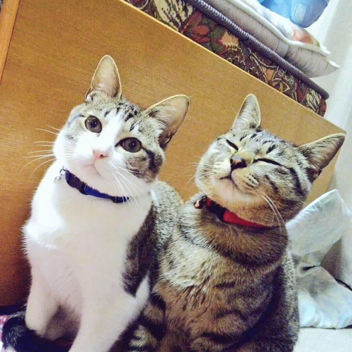 13b4c74d 9078 4dfe 94a2 b7fa0252b53d