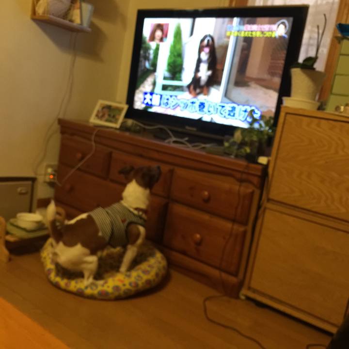 13b5cd8a 51d6 42f9 8212 c7a948008030