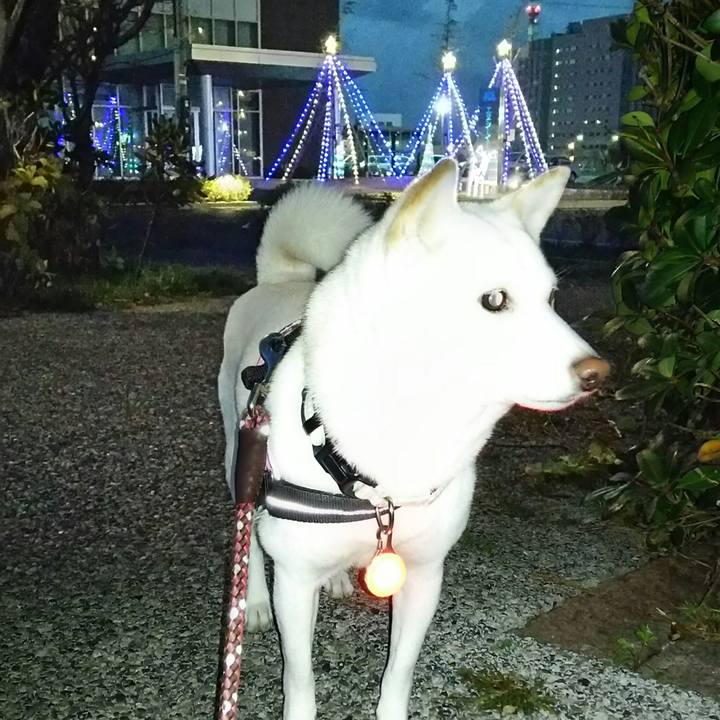 13b621f7 5640 49c6 9e7b c13831321732