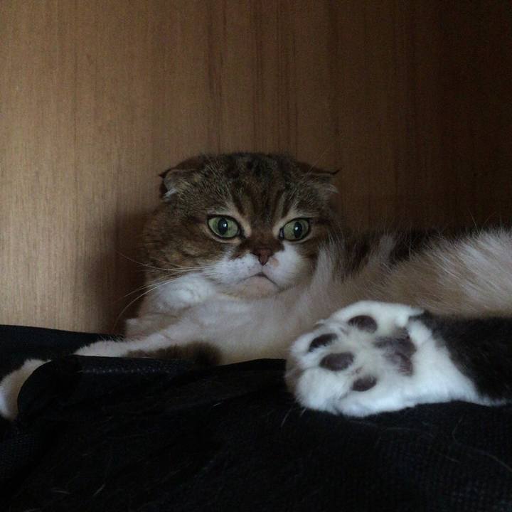 13b64445 28d0 4d0f a3fc 0d8b88707905