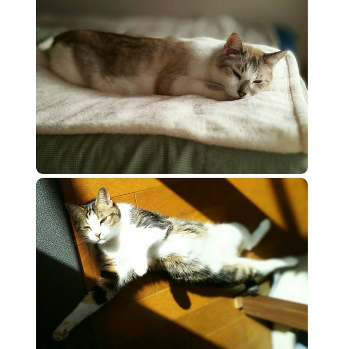 13b6713b e01a 4d6c 8670 c270373e9229