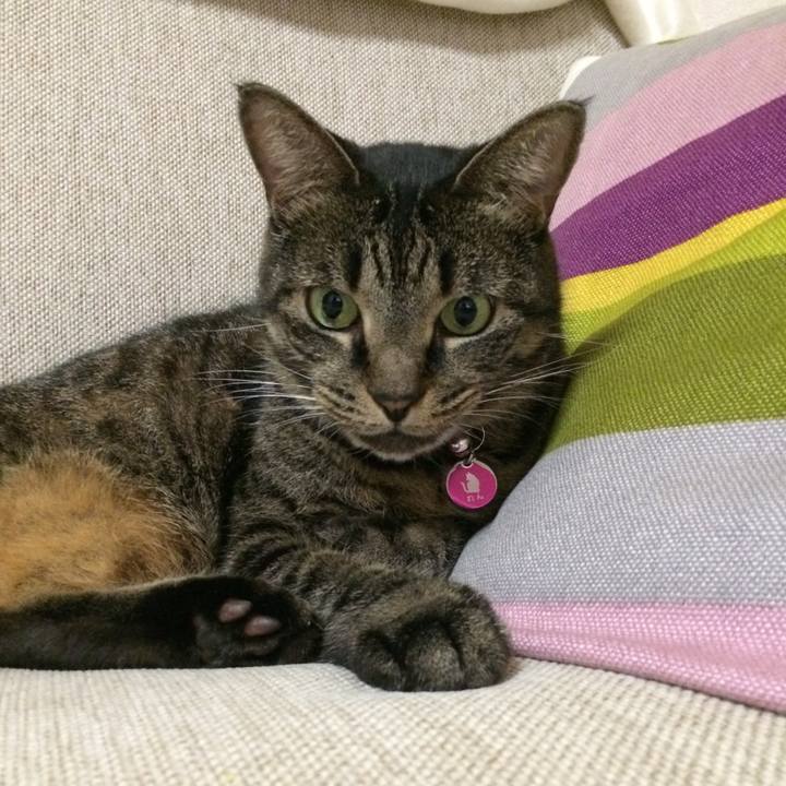 13b68b6d 8b88 4891 91d7 eccc87e81a66