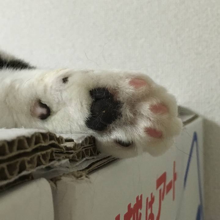 13b6953e 8d1b 4b28 ab4b 999ccd37e0fe