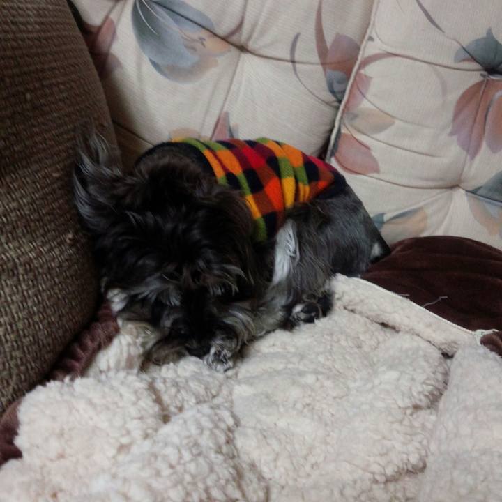 13b6ad36 2858 47af a3e3 b176a7756aac