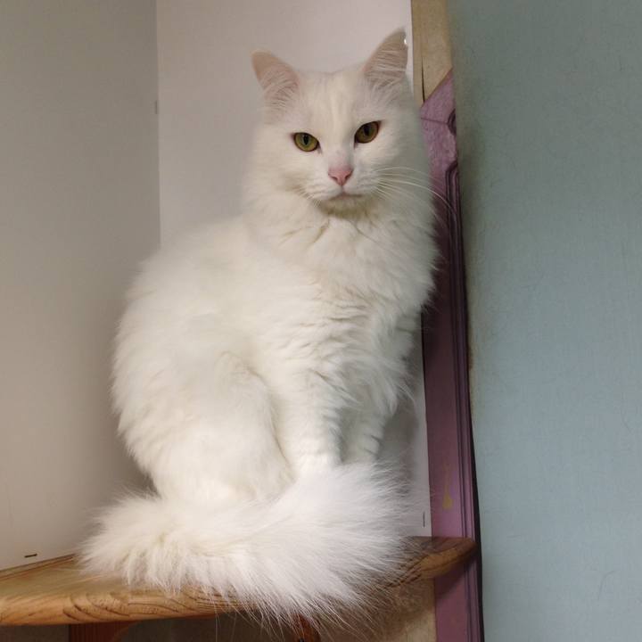 13b704fc fa82 405d aad0 88dd94d6a84b