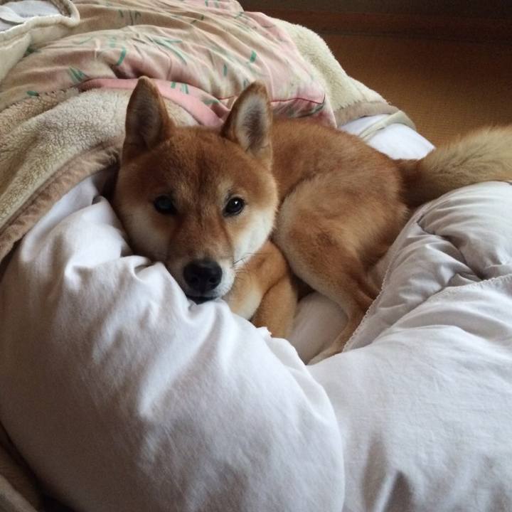 13b70ce3 8cae 492a 912e d3963734b3ac