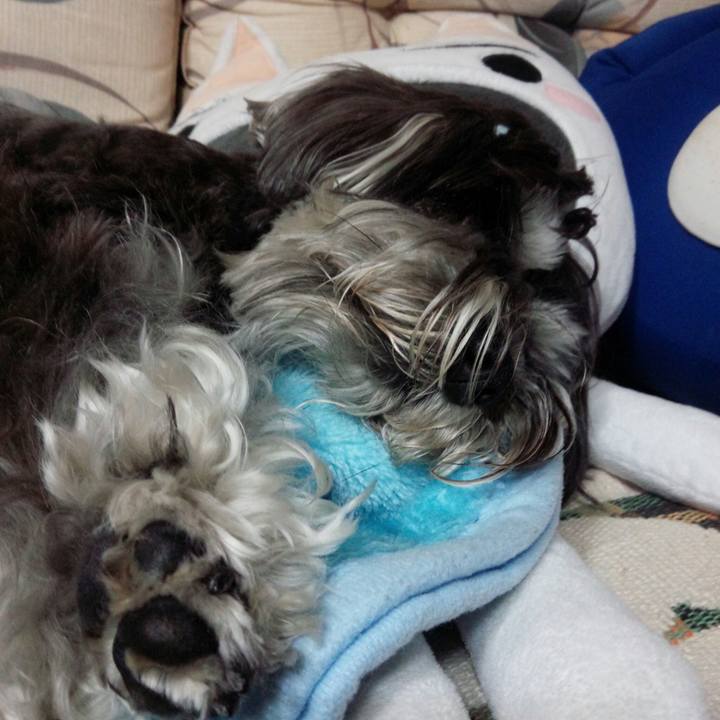 13b72067 5eef 4395 bc7e e00f637bae19