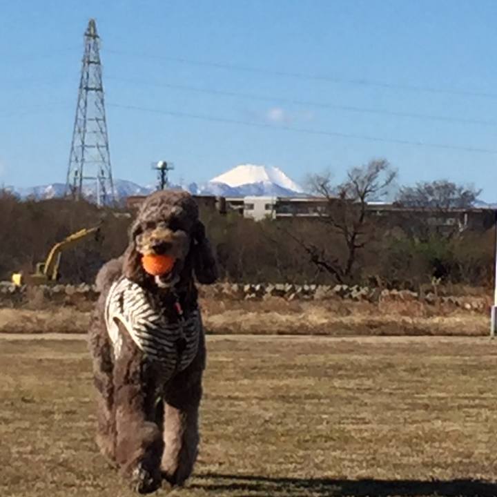 13b7ff6b d5dc 4c29 b613 663f0cdfff19