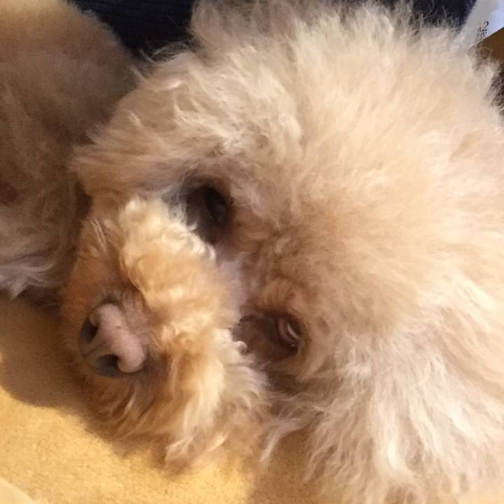 13b80eb9 f9bb 49aa a061 b5710dc5c4d3