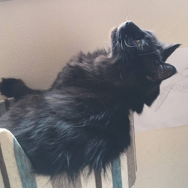 13b84999 a930 46ab a9fc abb45f9448b8