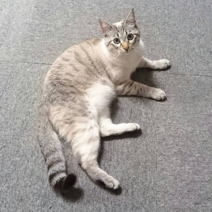 13b86325 11c2 4789 a7b4 01a1a26ade3b