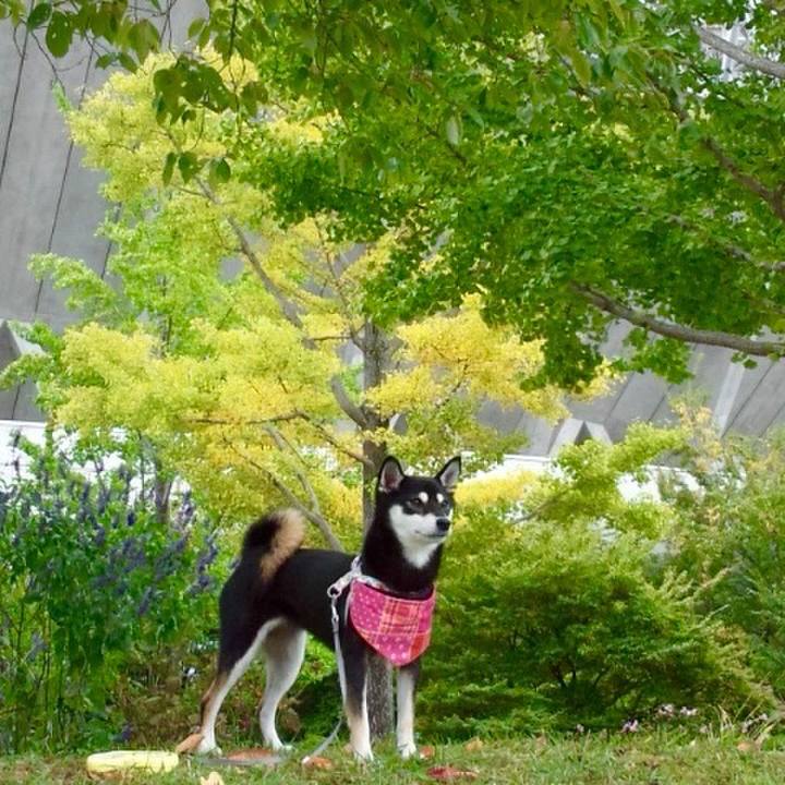 13b8634a bff9 4d57 8bde 1bcda2737dff