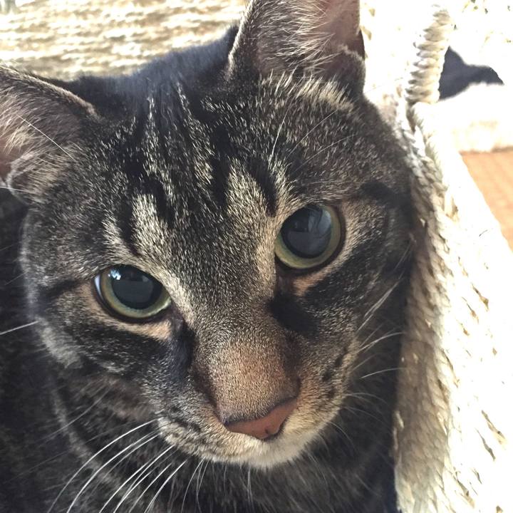 13b917da 50cc 46e6 9404 25435767bf53