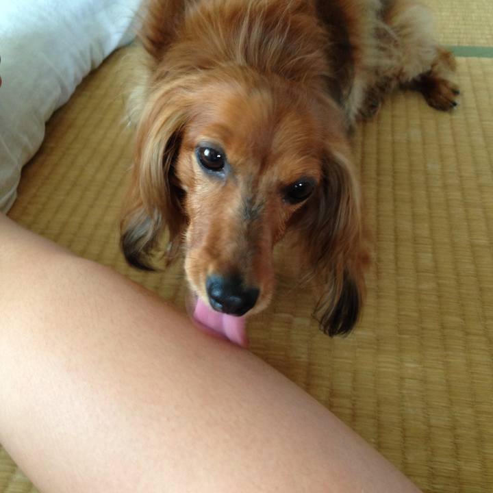 13b92399 8c7e 4a3f a2b5 bc2af8151d6f