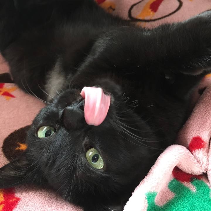 13b97baf ea55 4053 ae37 38f68d280b66