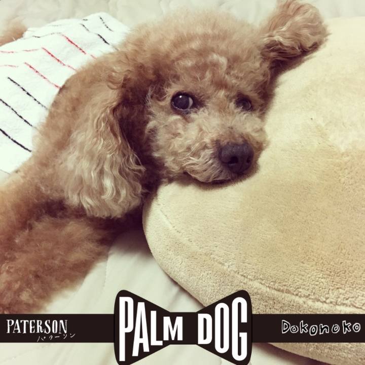 13b9e684 71e7 4c98 8882 e742cb8a68a9