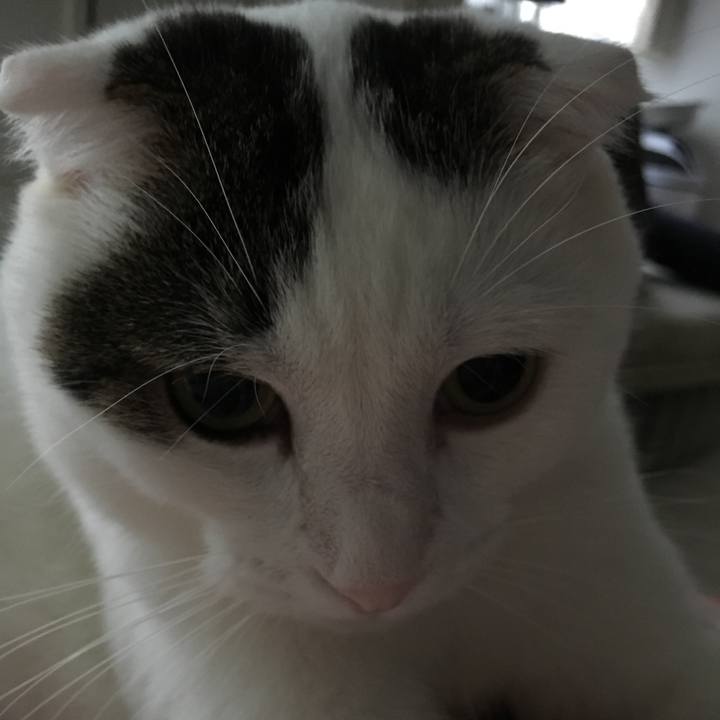 13ba4d03 a45c 4bfc 8e5d b2baab15accb