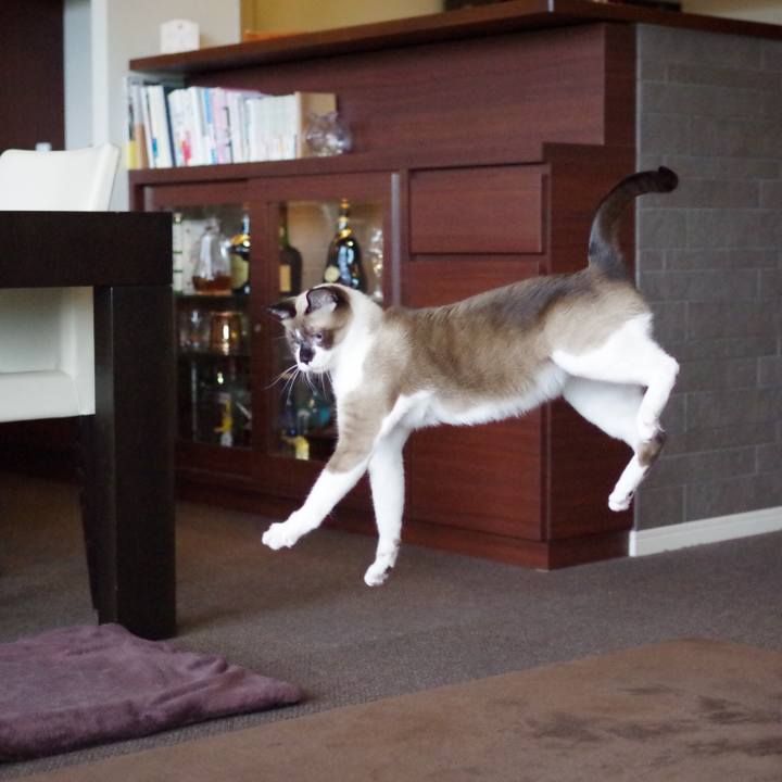 13ba9736 1062 4e7a aed9 70fb8ec5d94a