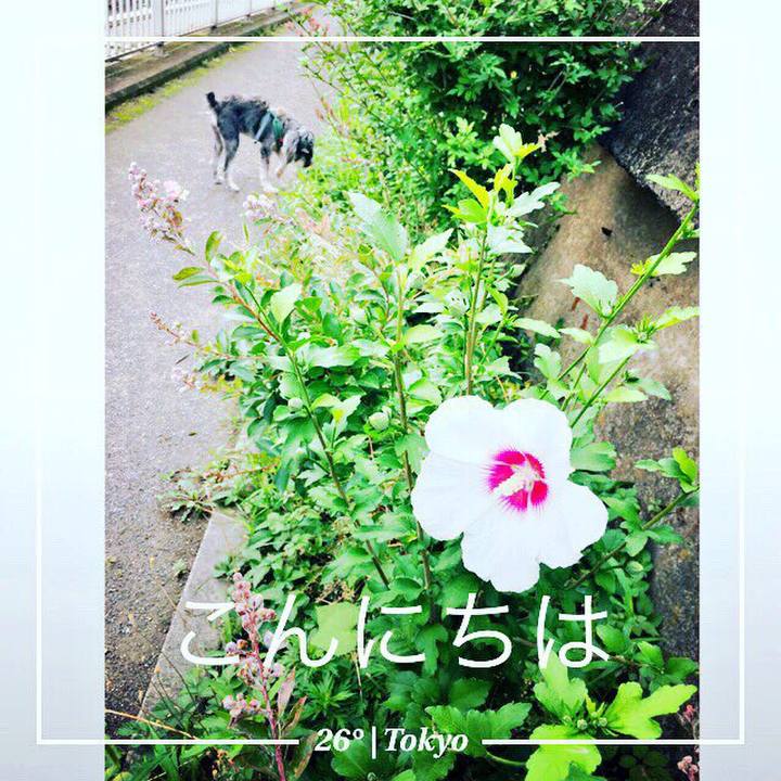 13bceffd 56d9 42ae 97ba ee6efa6456ad