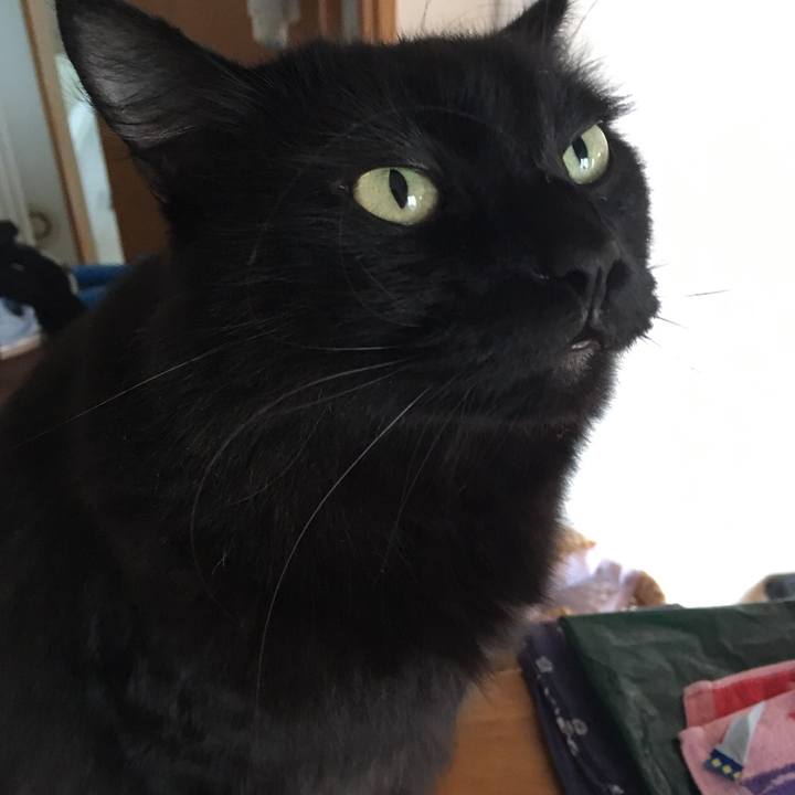 13bd0d98 b8fe 4d7d 93d8 7482a586b31d