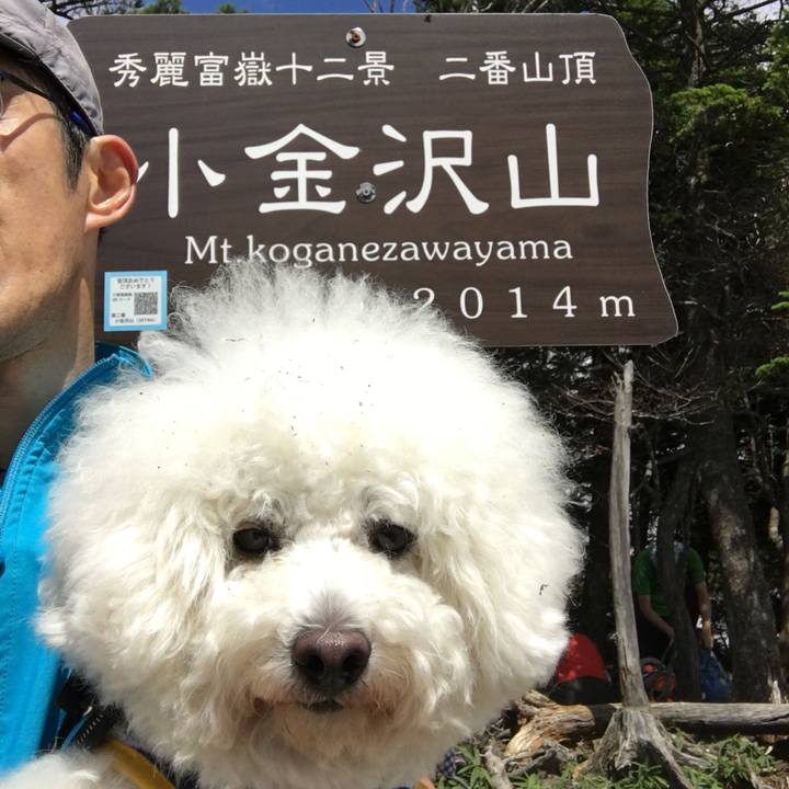 13bd9dd1 f8ad 47c1 843a f4c650798885