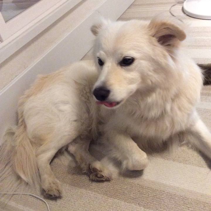 13bdc793 4982 4f6e a20f de073b2e25d1