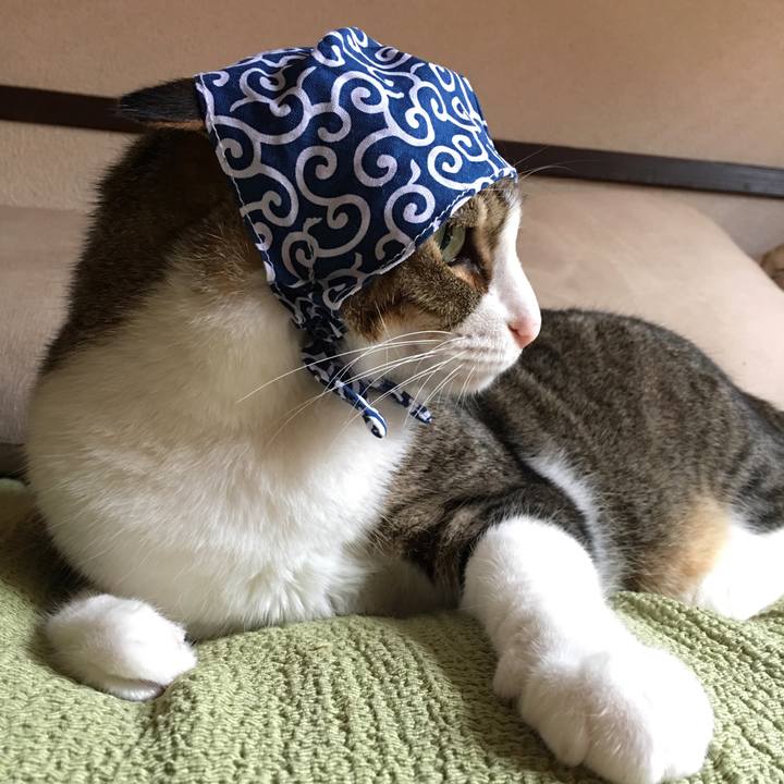 13be3f14 3d5a 42a4 b870 98cc509122f5