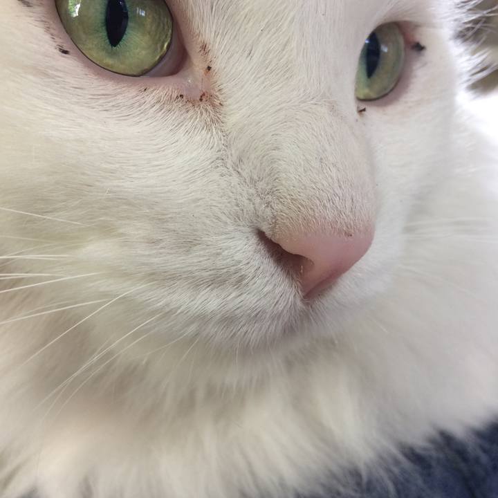 13c04a25 f307 4020 922c e4def0896834