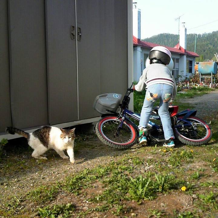 13c0ae67 8f36 47f1 ac5f 64c67c17b447