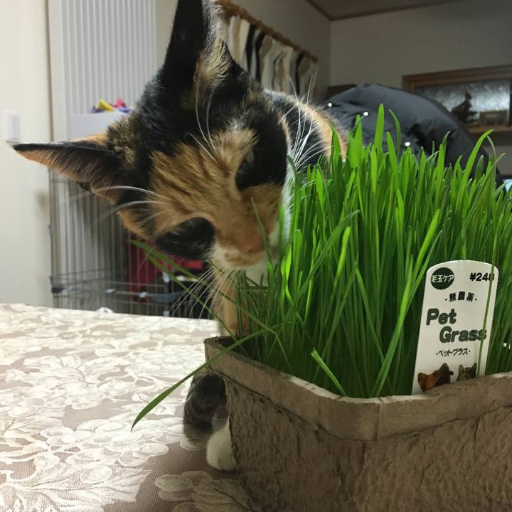 13c0f04f 80b1 47e7 91fe 1e9cf878069e