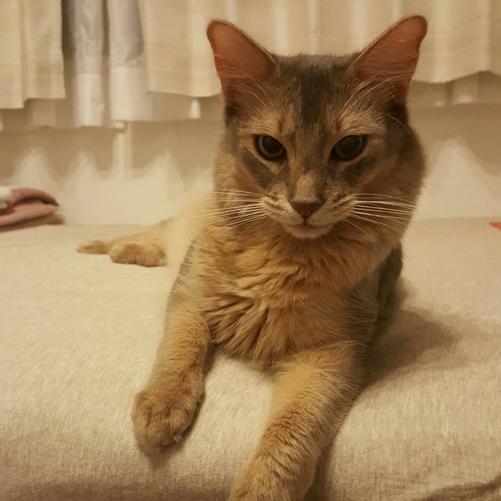 13c1102c 18d0 46c6 920f b93501c22471