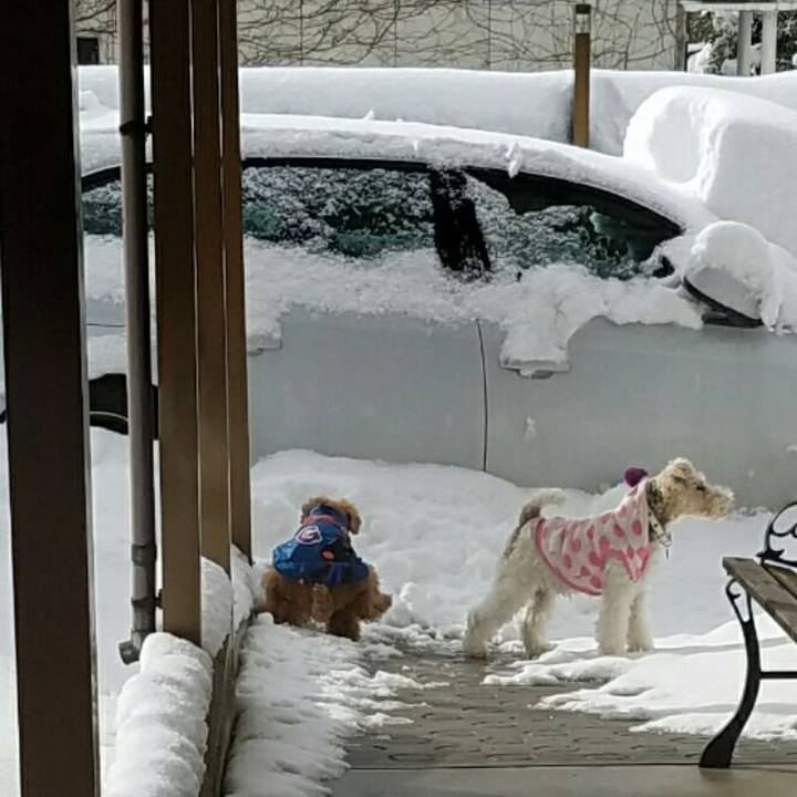 13c11622 ecbe 4f2a a0bd 246065420035