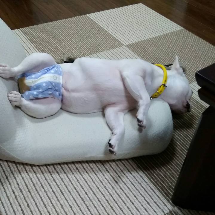 13c11a03 8ac8 4740 ae41 f09b4cac8753