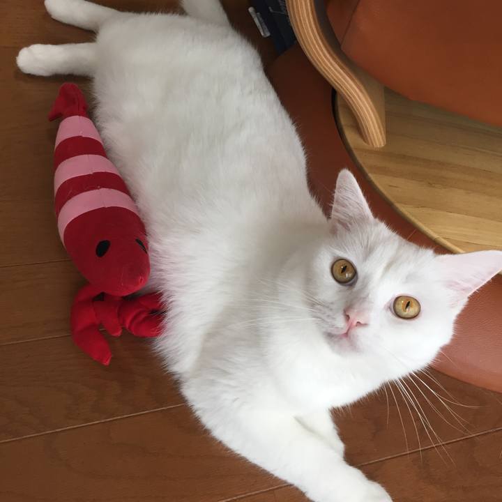 13c12d64 dd0b 47d3 9750 03a583c98616