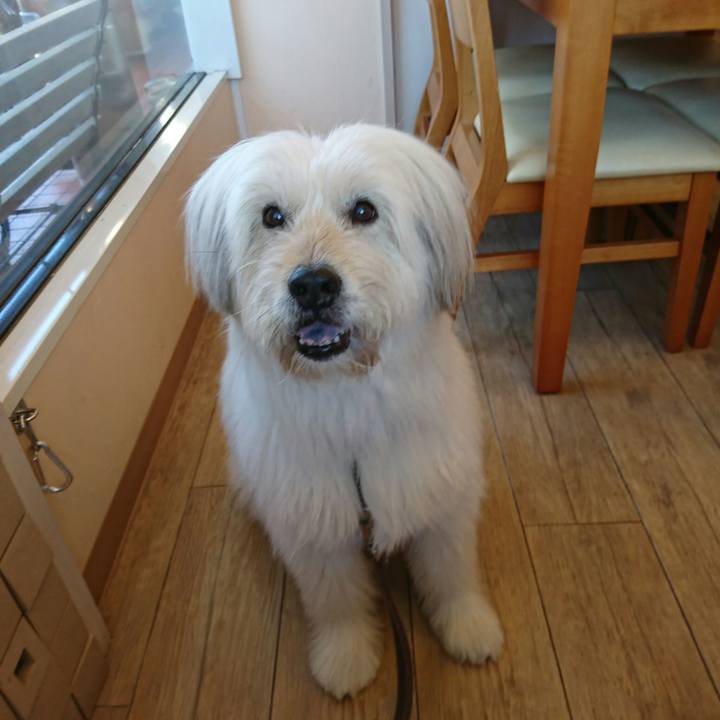 13c1d5ba fe9e 4c8a b571 8611c5738d4b