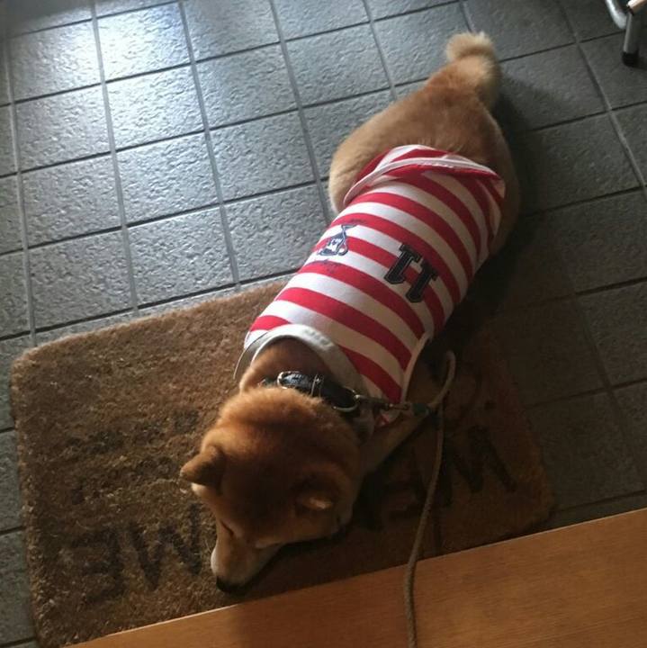 13c2672f e3e0 4be4 924c 6715e33a9e48