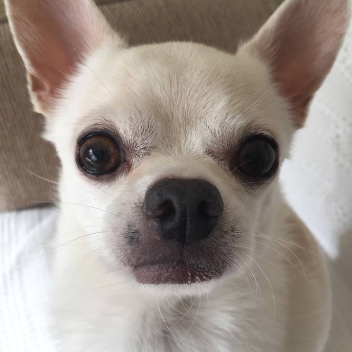 13c28c4d d7af 4fef 90c6 8f4fbddf4c9f