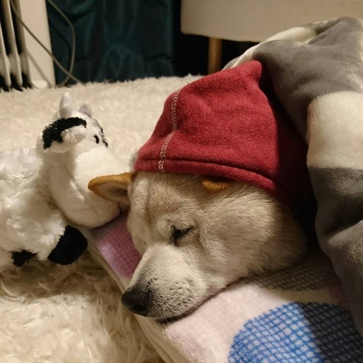 13c2e975 399e 430d ae37 1df8221a949e