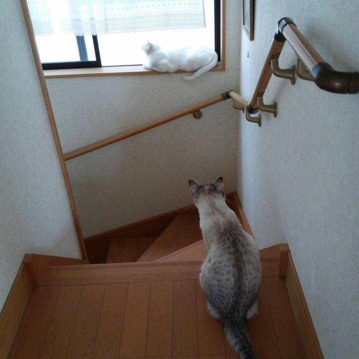 13c371c3 b14c 4744 961a 5e3b9045d1d2