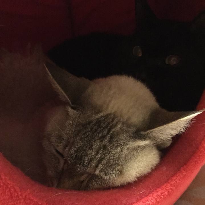 13c3f908 06dc 4129 996f 77bf346febfd